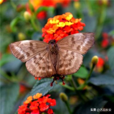 万剑诛仙qq登录版手游下载